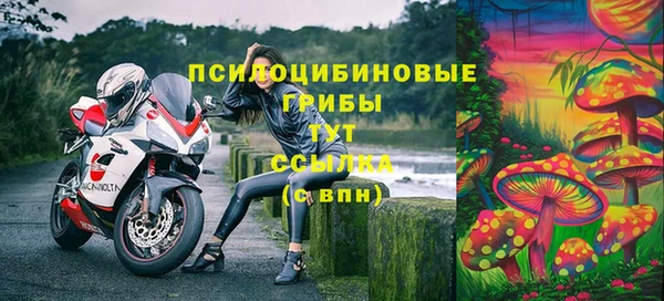 амфетамин Алексеевка