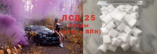 стаф Алзамай