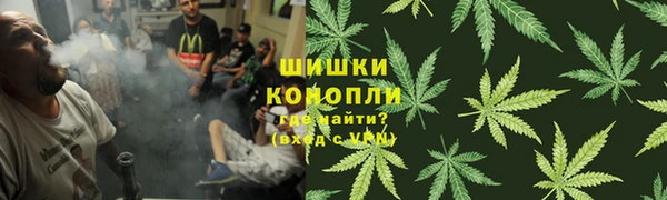 стаф Алзамай