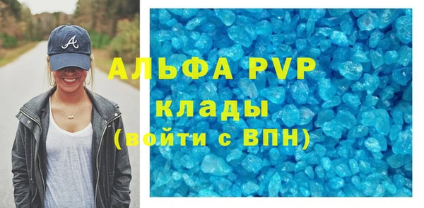 стаф Алзамай
