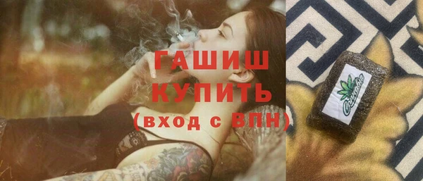стаф Алзамай