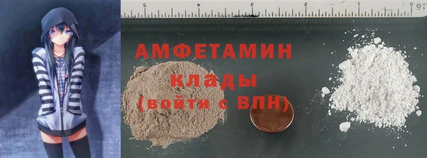 стаф Алзамай