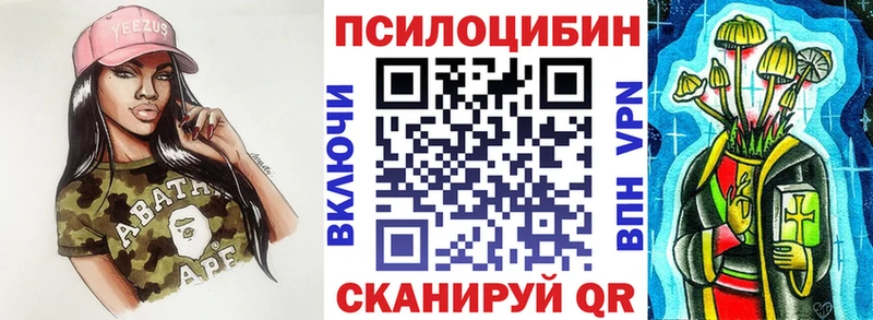 Псилоцибиновые грибы Psilocybe Краснообск